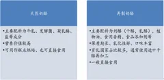 奶酪被誉为乳品中的“黄金” 我国奶酪行业市场基本处于洋品牌领跑的时代