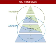 2018年中国支线航空运输业市场结构及客流量分析 （图）