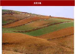 2018年我国农村土地信托行业政策与社会环境分析（图）