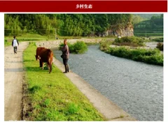 2018年我国“互联网 ”下乡村生态旅游行业受其影响、发展弊端及其措施分析（图）