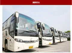 2018年我国旅游客运行业发展弊端及其措施分析（图）