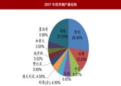 2018年铜行业产能与影响影响供给因素分析 产量增速趋缓 大规模薪资谈判是巨大变数
