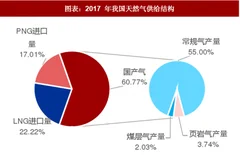 2018年中国天然气行业供给端：进口 lng 成为保供主力（图）